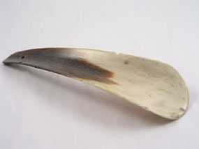 Image of shoehorn 