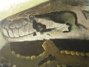 Image of drawing Snake's head