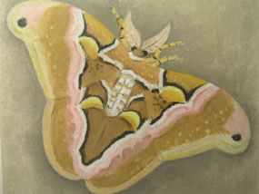Image of drawing Moth