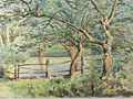 watercolour Lake scene [Click here to see more information about this item]