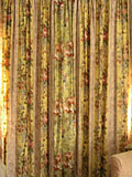 curtain  [Click here to see more information about this item]